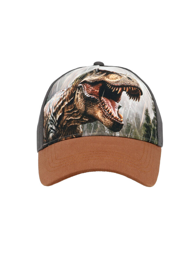 KIDS BOY-cap t-rex 63503-169300 | anthrazit (67)