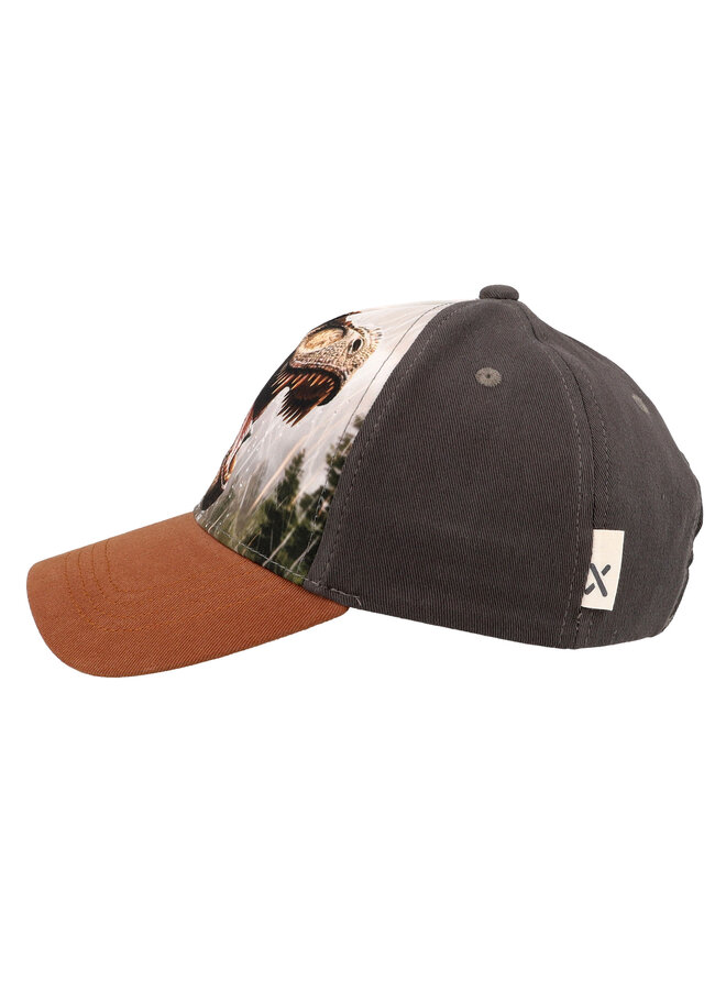 KIDS BOY-cap t-rex 63503-169300 | anthrazit (67)