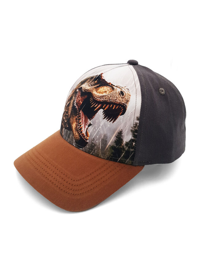 KIDS BOY-cap t-rex 63503-169300 | anthrazit (67)