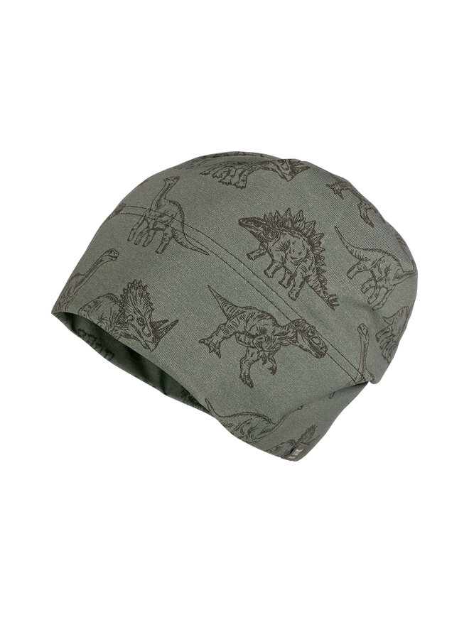 KIDS-beanie, jersey printed 63500-162300 | grüngrau-dino (27)
