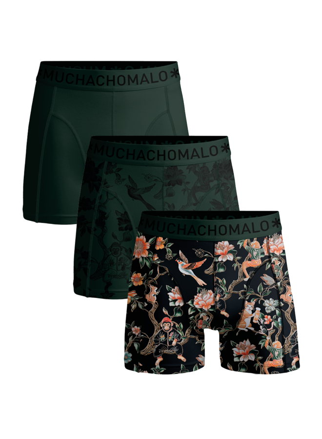 Boys 3-Pack Boxer Shorts | Treefriends Print/Print/Green