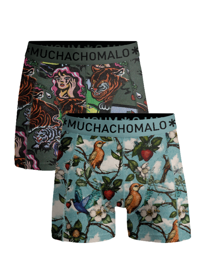 Boys 2-Pack  Boxer Shorts Weird Fruit | Fruitorigin Print/Print