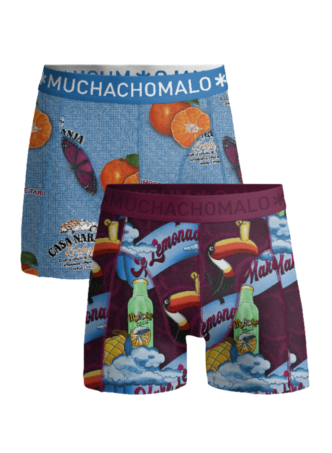 Boys 2-Pack  Boxer Shorts Weird Fruit | Summerfruit Print/Print