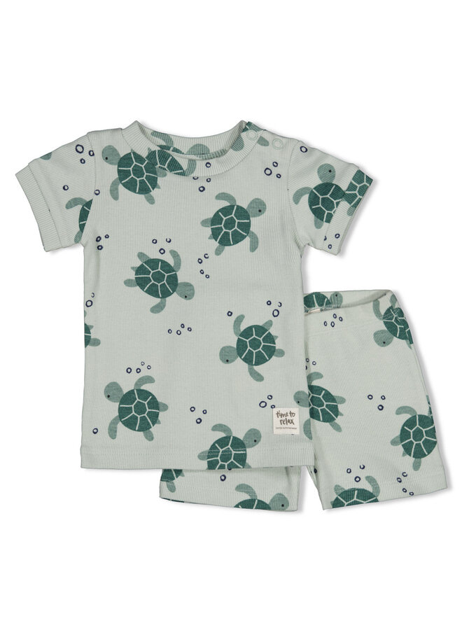 Timmy Turtle - Premium Summerwear by Feetje