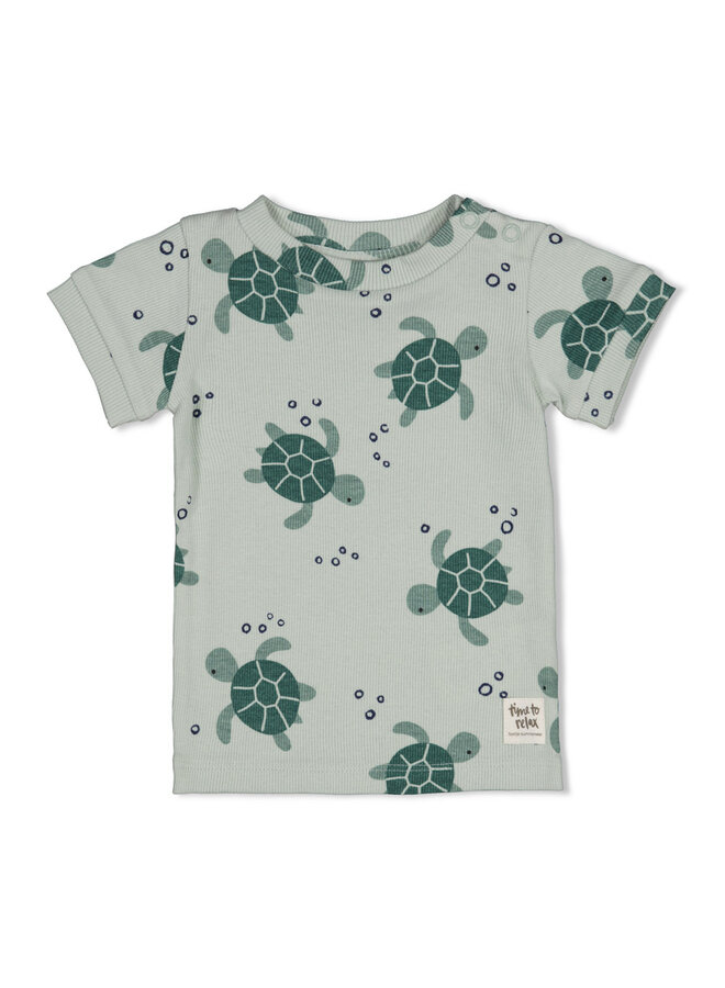Timmy Turtle - Premium Summerwear by Feetje