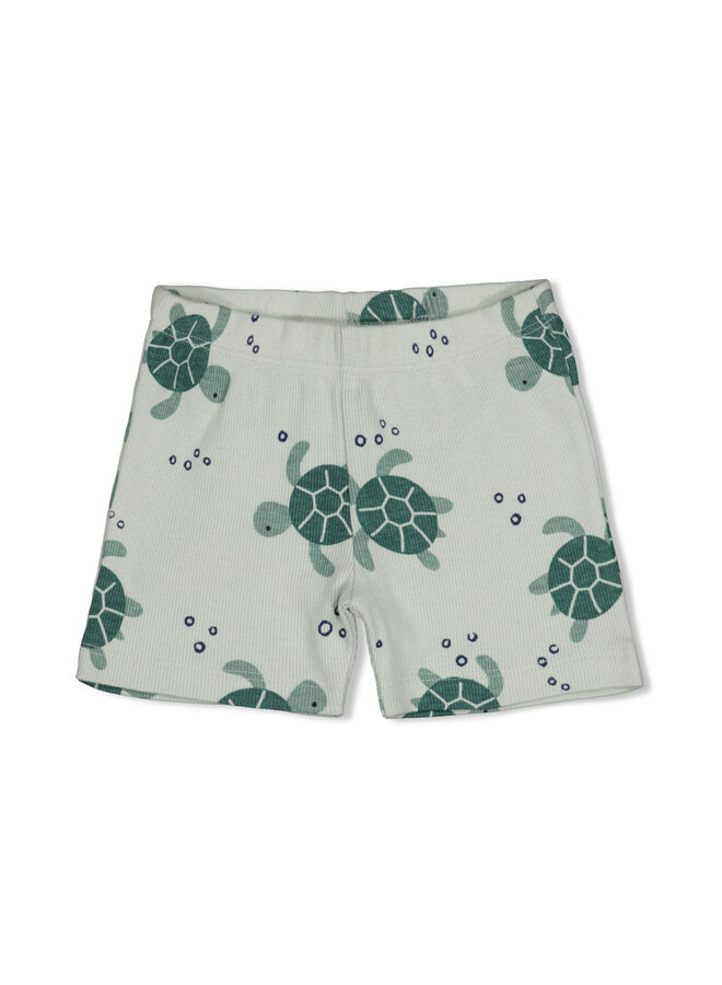 Timmy Turtle - Premium Summerwear by Feetje