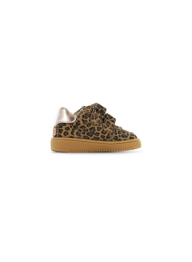BN26W001-B | Leopard