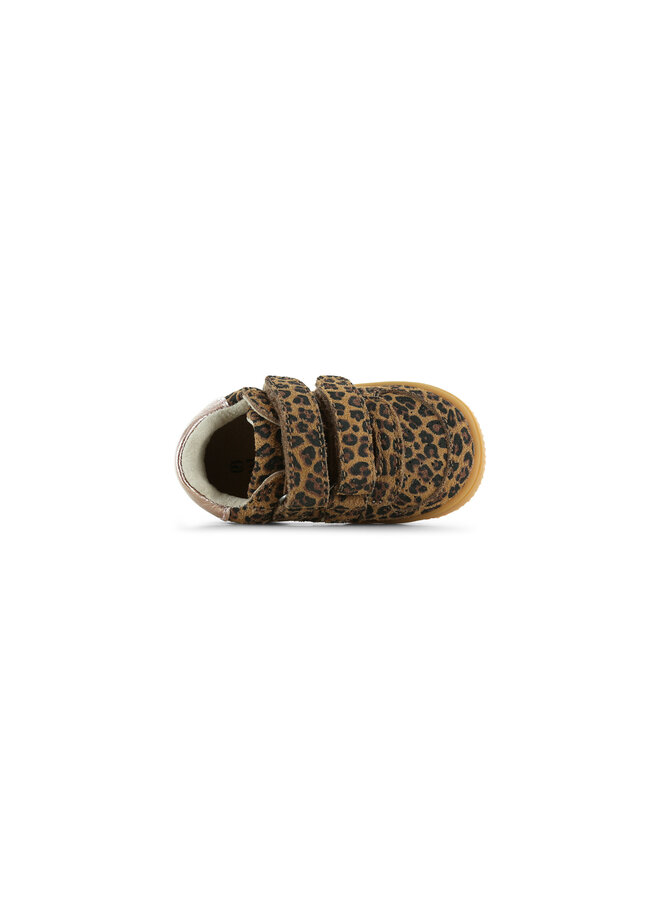 BN26W001-B | Leopard