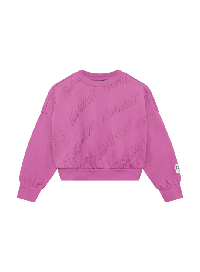 Sweater Applique 970969 | Rosebud-6023 (AW26)
