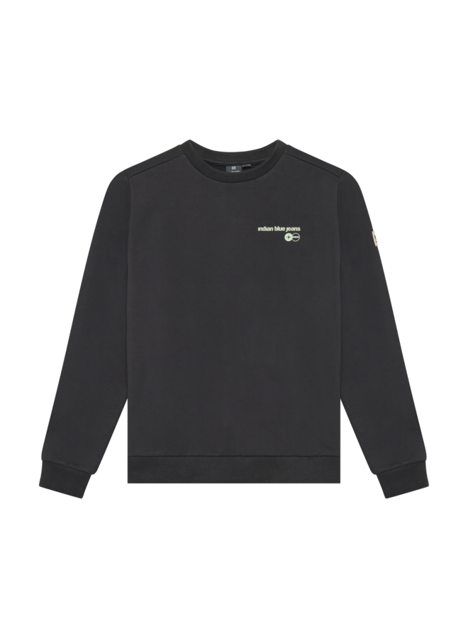 Sweater Chest and Backprint 960757 | Antra Ash-1961 (AW26)