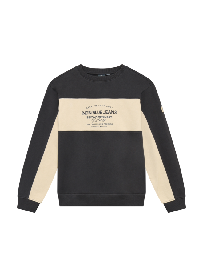 Loose Fit Sweat IB Chest Brush 960759 | Antra Ash-1961 (AW26)