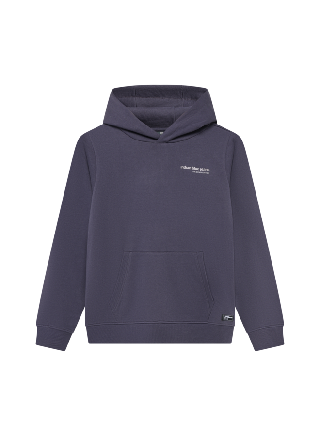 Hoodie Backprint Brushed 960765 | Dusty Dark Purple-6541 (AW26)