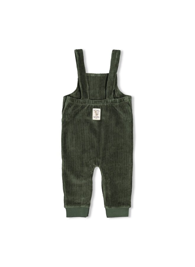Tuinbroek velours rib - Wiggle and Waddle 52000143 | Groen (300)