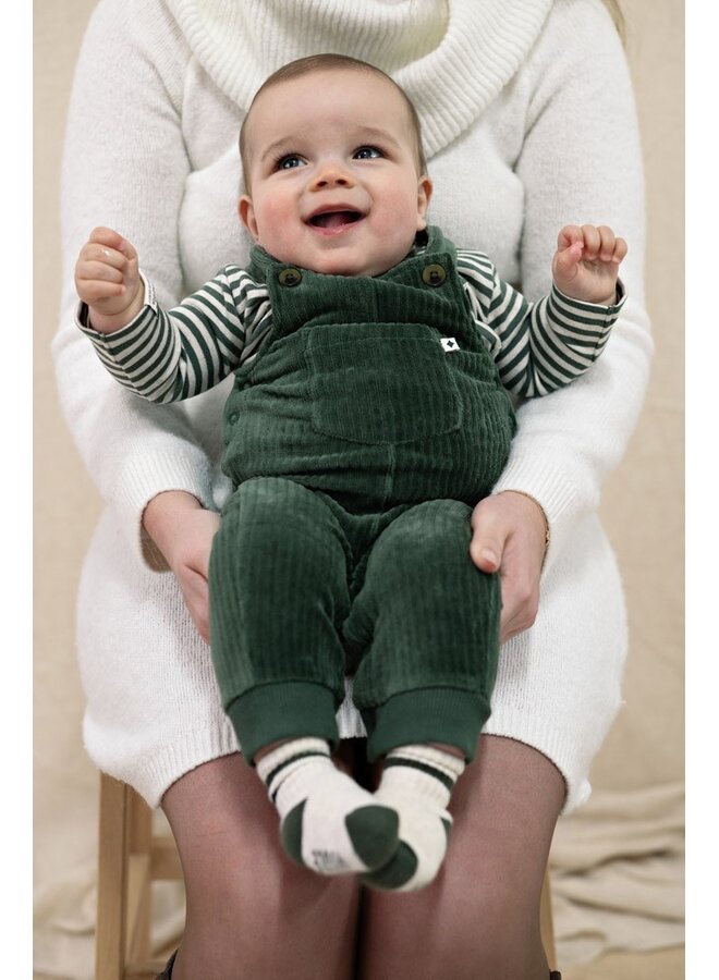 Longsleeve rib met streep - Wiggle and Waddle 51602837 | Groen (300)