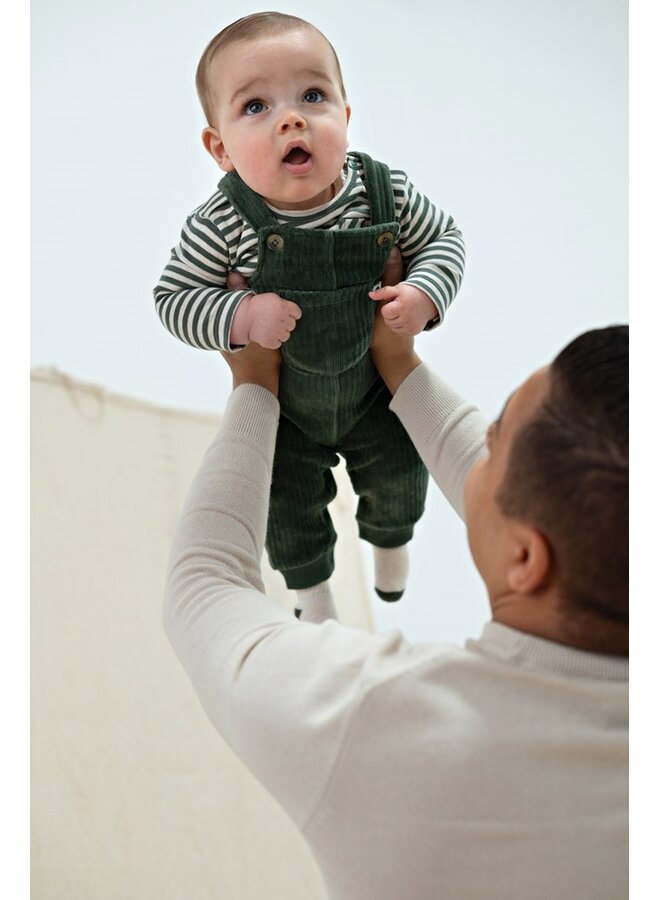 Longsleeve rib met streep - Wiggle and Waddle 51602837 | Groen (300)