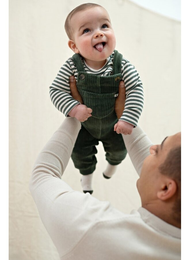 Longsleeve rib met streep - Wiggle and Waddle 51602837 | Groen (300)