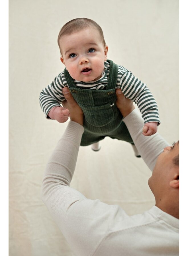 Longsleeve rib met streep - Wiggle and Waddle 51602837 | Groen (300)