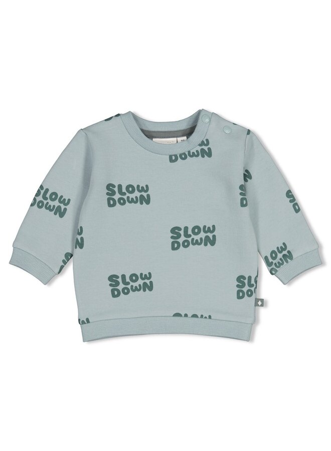 Sweater AOP - Beep Beep 51602829 | Mint (320)