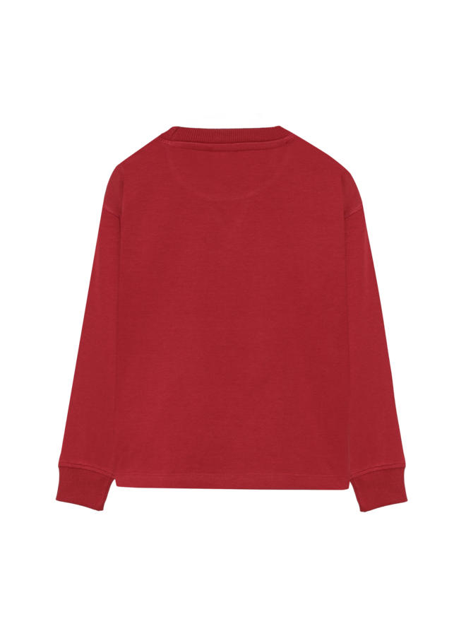 T-shirt Longsleeve Chest print 920408 | Rythmic Red-4653 (W26)