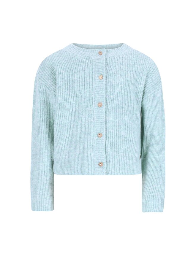 F608-5315 Do Flo girls knitted cardigan with button closure | Aqua 110 (W26)