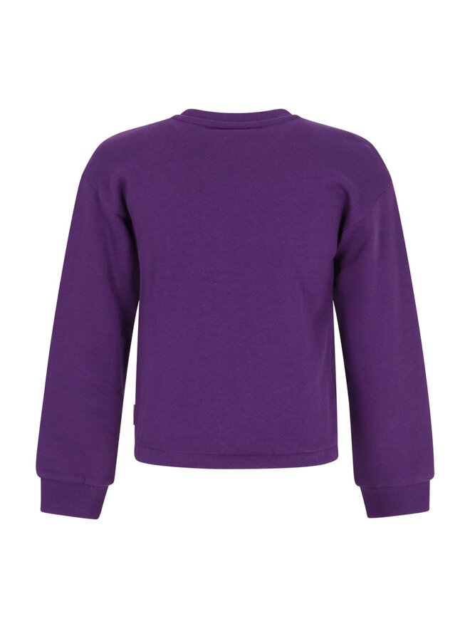 B.Nosy Shelly Sweater Y608-5355 | Loganberry-620 (W26)