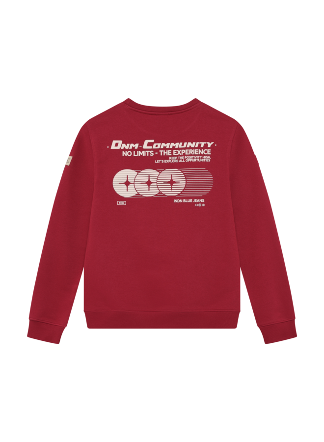 Sweater IB Chest and Backprint 960826 | Soft Bordeaux-4111 (AW26)