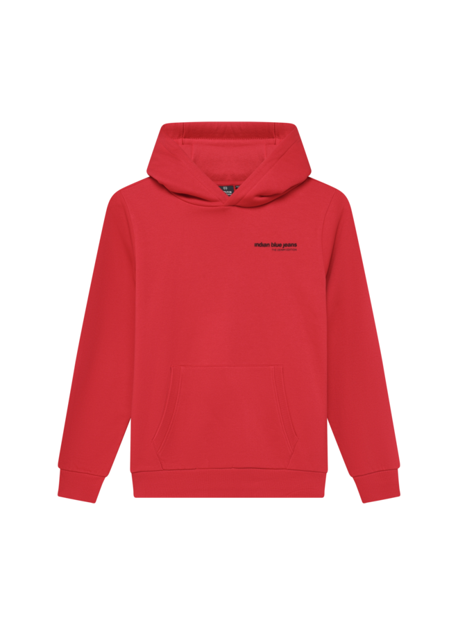 Hoodie Backprint Brushed 960841 | Bright Red-4321 (AW26)
