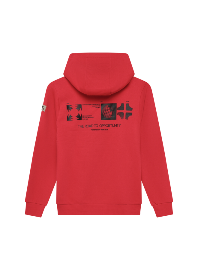 Hoodie Backprint Brushed 960841 | Bright Red-4321 (AW26)