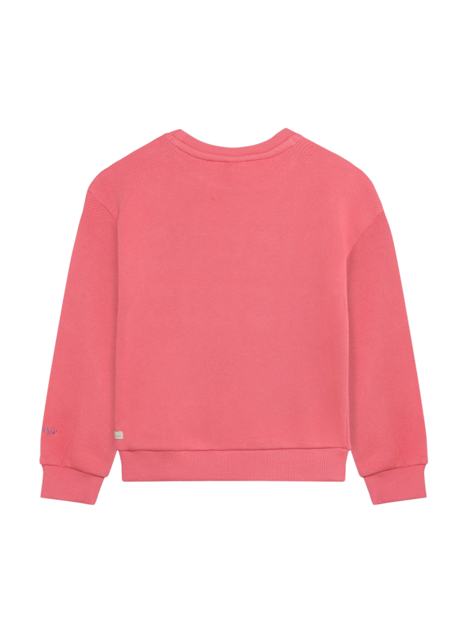 Sweater Bisous 930520 | Desert Rose-5521 (W26)