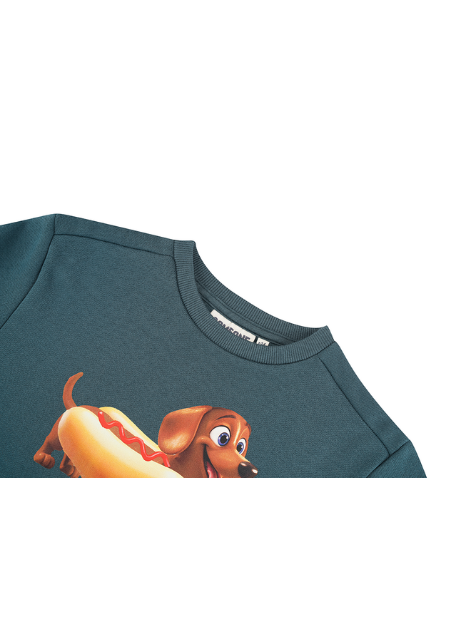 SB16.262.300243 ROBERT-SB-16-F | DARK TEAL (W26)