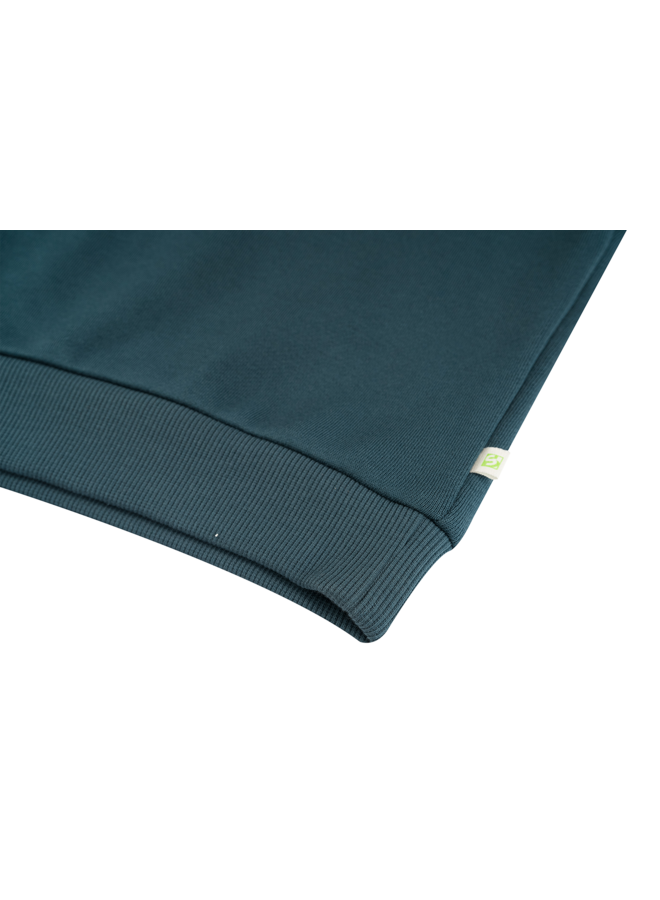 SB16.262.300243 ROBERT-SB-16-F | DARK TEAL (W26)