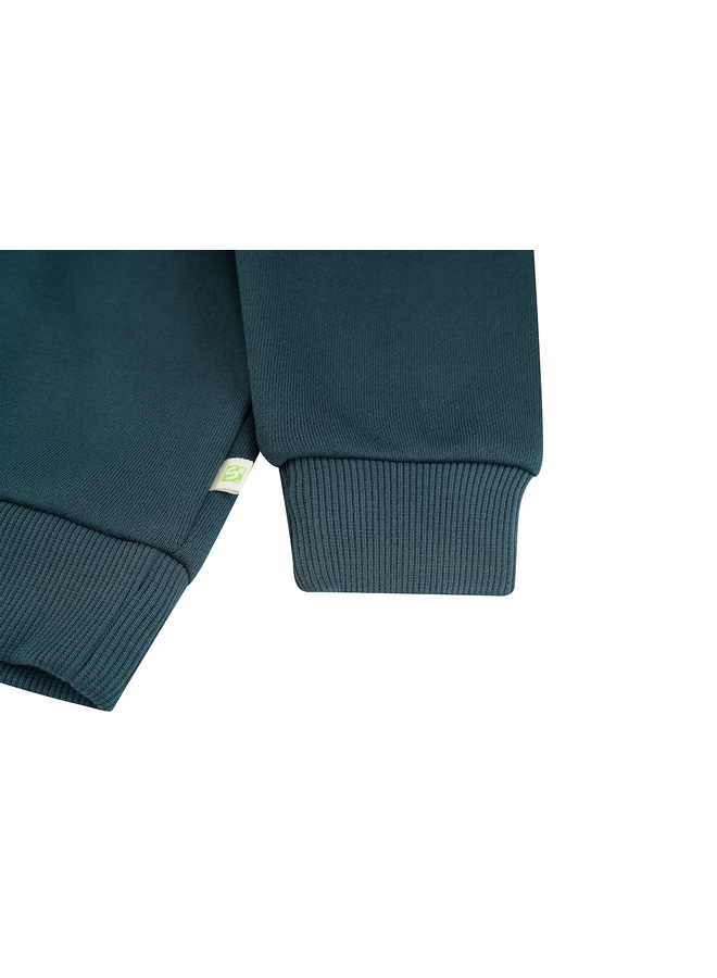 SB16.262.300243 ROBERT-SB-16-F | DARK TEAL (W26)