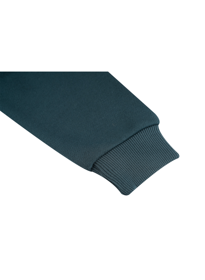 SB16.262.300243 ROBERT-SB-16-F | DARK TEAL (W26)