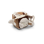 Activiteitenkubus | Woolly