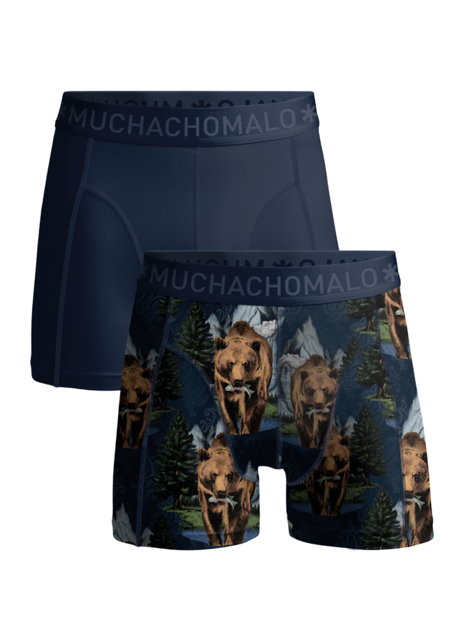 Boys 2-Pack Boxer Shorts | Grizzly Print/Blue