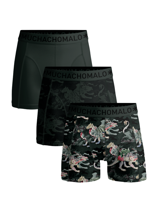 Boys 3-Pack Boxer Shorts | Hidden Dragons Print/Print/Black