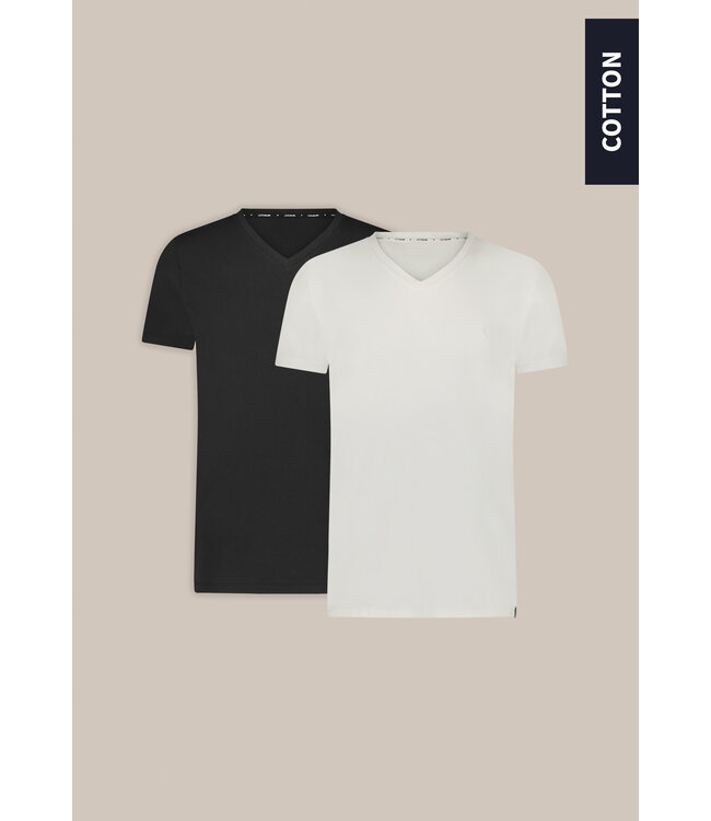 White+Black 2-pack T-shirt V-neck Basic