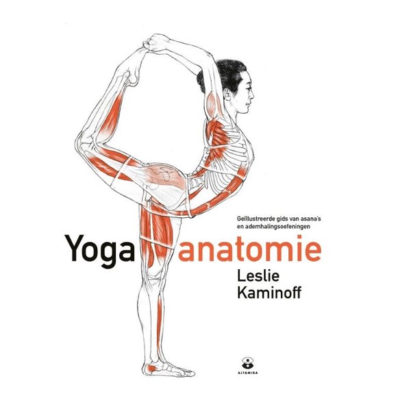 Yoga anatomie