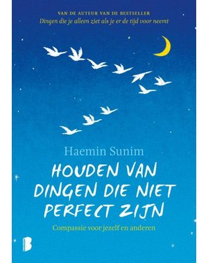  Houden van dingen die niet perfect zijn