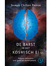  De barst in het kosmische ei