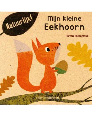  Mijn kleine eekhoorn