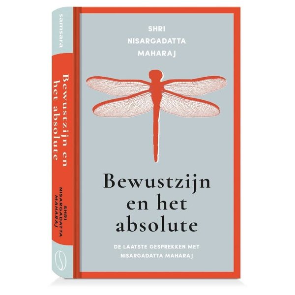 Bewustzijn en het absolute