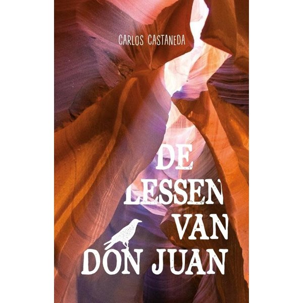 Castaneda, Carlos De lessen van Don Juan