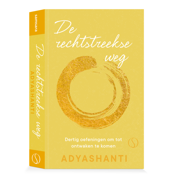 Ebook | De rechtstreekse weg