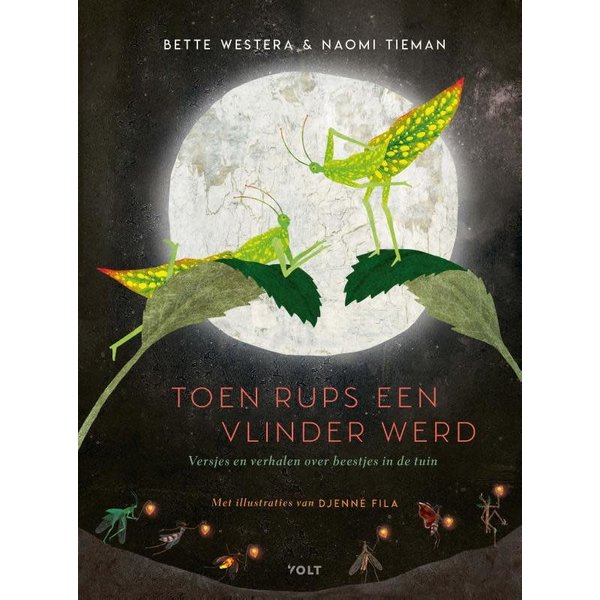 Toen Rups een vlinder werd