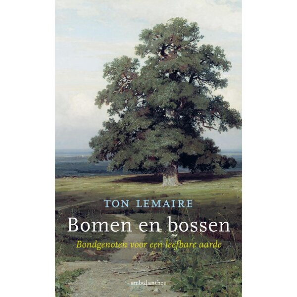 Bomen en bossen