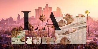 Inspiratie uit Los Angeles