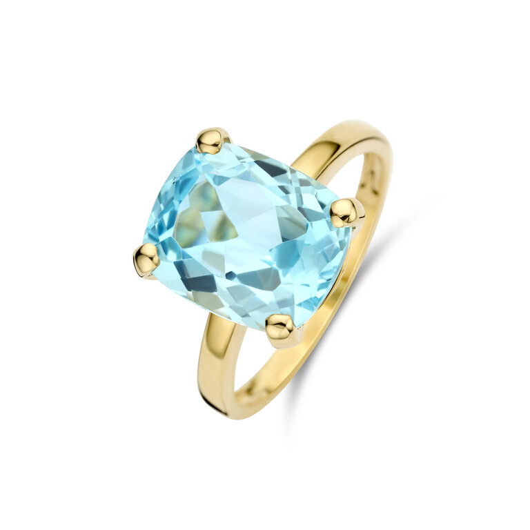 Monte Carlo Ring