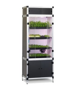 Grow Your Greens Sprouter
