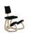 Varier Varier Variable Plus (voorraadmodel)